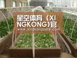 环境展示五