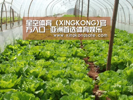 种植基地五