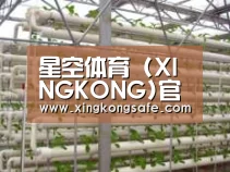 环境展示六