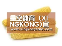 产品名称五