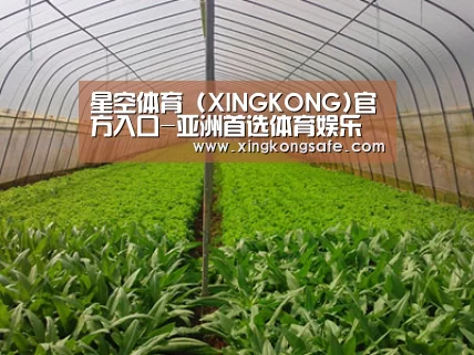 种植基地四