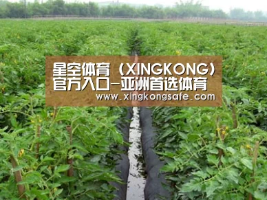种植基地三