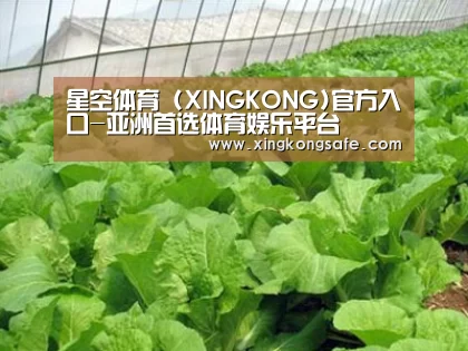 种植基地一
