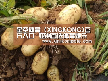 种植基地六
