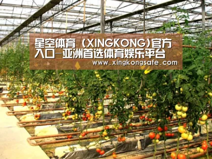 种植基地二(图1)
