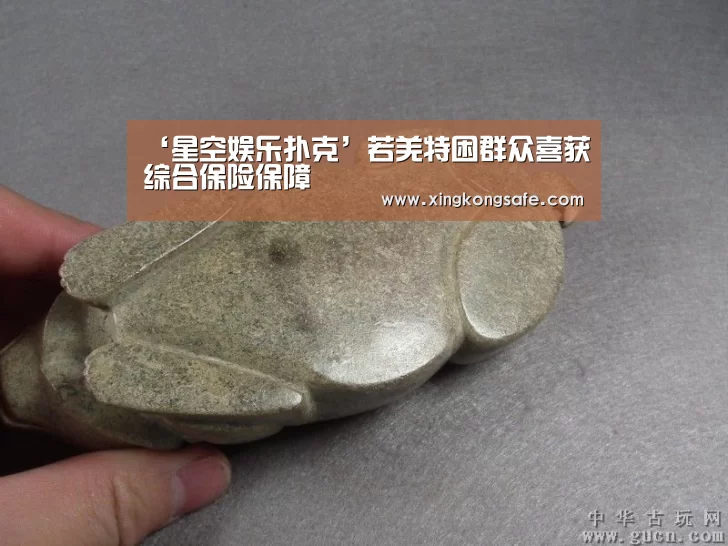 ‘星空娱乐扑克’若羌特困群众喜获综合保险保障(图1) ‘星空娱乐扑克’若羌特困群众喜获综合保险保障(图1)