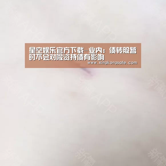 星空娱乐官方下载-业内:债转股暂时不会对险资持债有影响(图2) 星空娱乐