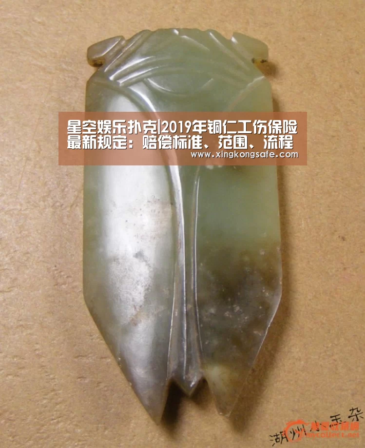 星空娱乐
