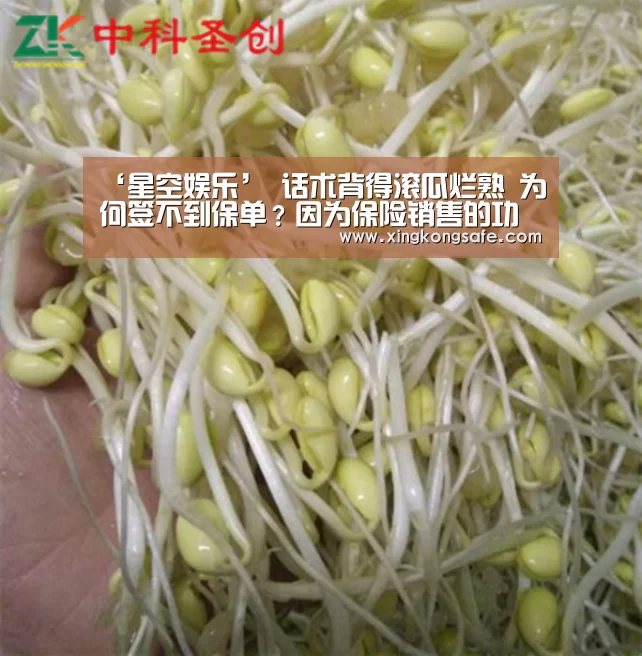 ‘星空娱乐’
话术背得滚瓜烂熟 为何签不到保单?因为保险销售的功夫在诗外(图3) ‘星空娱乐’
话术背得滚瓜烂熟 为何签不到保单?因为保险销售的功夫在诗外(图3)
