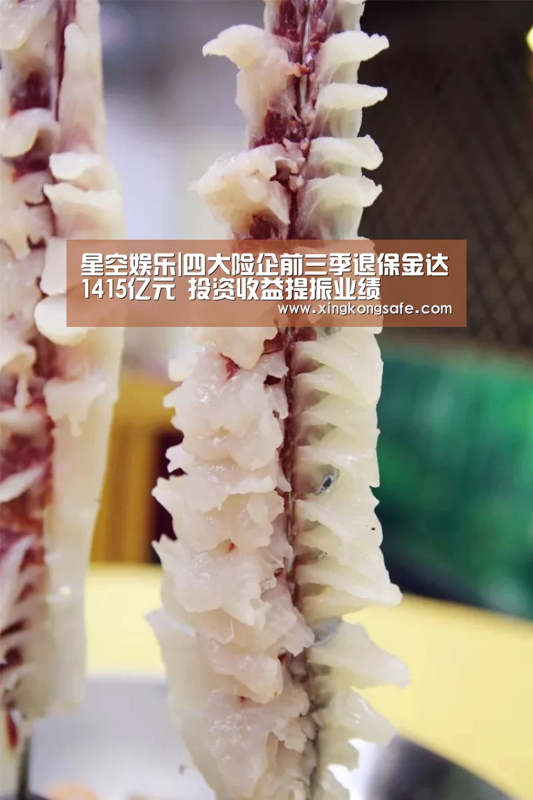 星空娱乐|四大险企前三季退保金达1415亿元 投资收益提振业绩(图3) 星空娱乐|四大险企前三季退保金达1415亿元 投资收益提振业绩(图3)