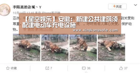 星空娱乐官方下载
